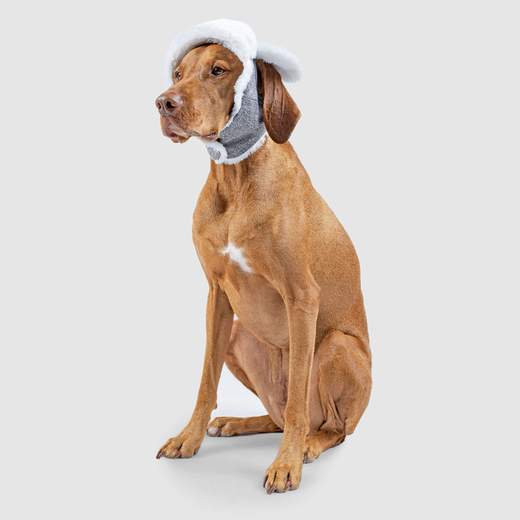 Canada Pooch - Arctic Air Hat (Grey)
